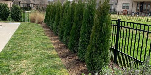 167a4556-eb47-4821-881c-33b76d4b2164